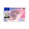 CZECH REPUBLIC DRIVER’S LICENSE