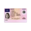 DENMARK DRIVER’S LICENSE
