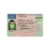 GERMAN DRIVER’S LICENSE