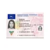 IRISH DRIVER’S LICENSE