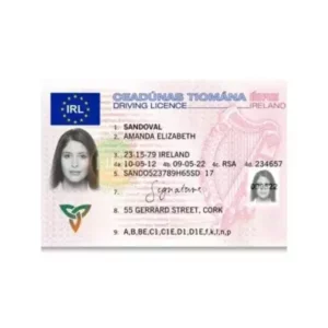 IRISH DRIVER’S LICENSE